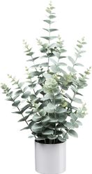 Kunstpflanze Eukalyptus, Creativ green, Höhe 65 günstig online kaufen