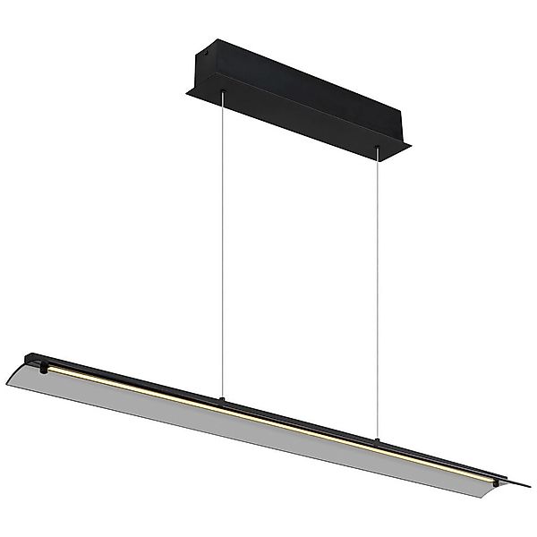 GLOBO LIGHTING LED-Hängeleuchte »MURIELLA«, 1 flammig, Leuchtmittel LED-Mod günstig online kaufen
