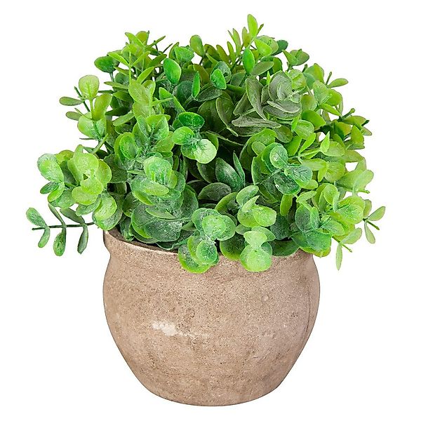 Kunstblume Eukalyptus - inkl. Topf - günstig online kaufen