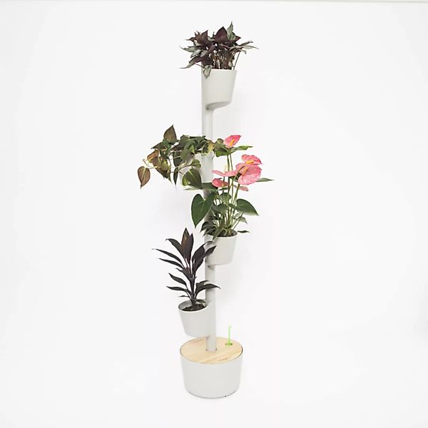 Vertikaler Blumentopf Mit Luftreinigenden Pflanzen günstig online kaufen