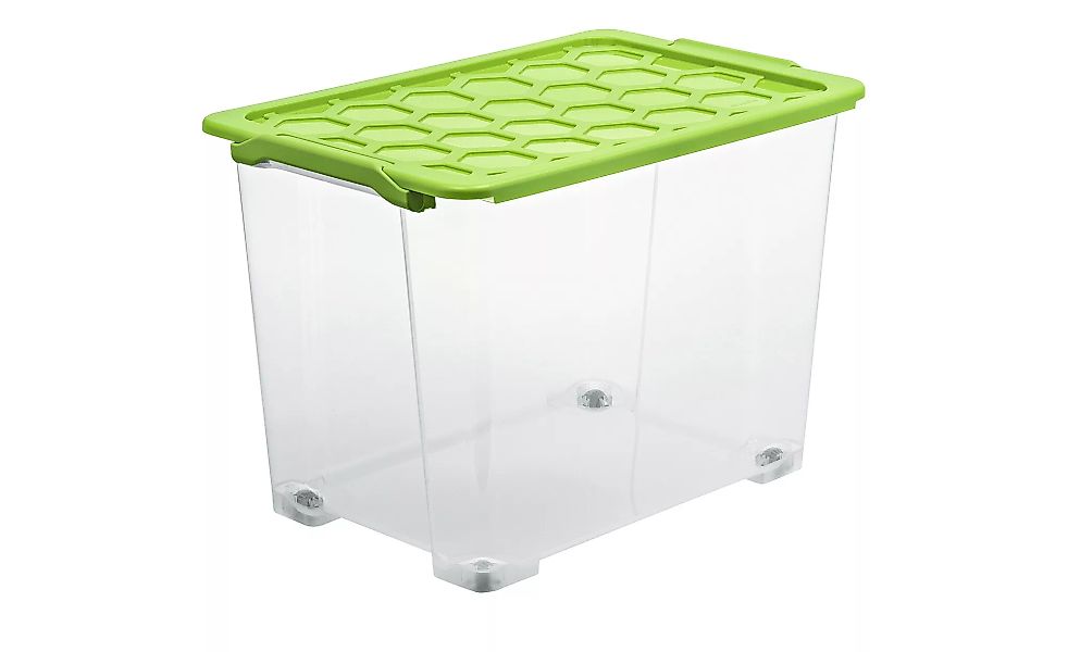 Rotho Aufbewahrungsbox mit Deckel - grün - Kunststoff - 39,5 cm - 41,2 cm - günstig online kaufen