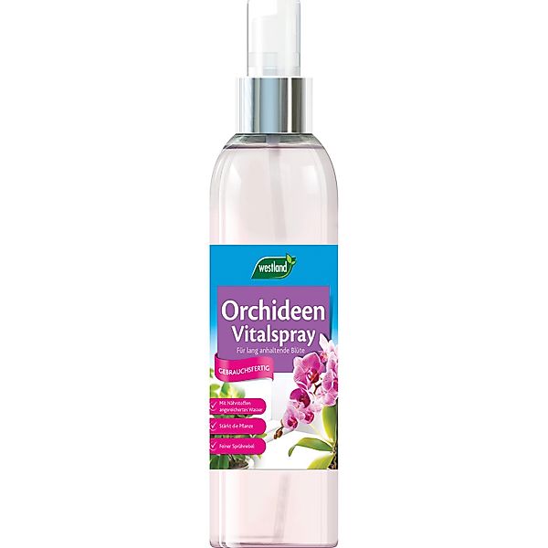 Westland Orchideen Vitalspray 250 ml günstig online kaufen