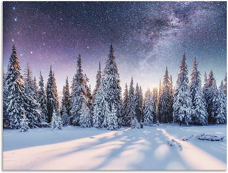 Artland Wandbild "Tannenwald im Schnee vorm Sternenhimmel", Berge & Alpenbi günstig online kaufen