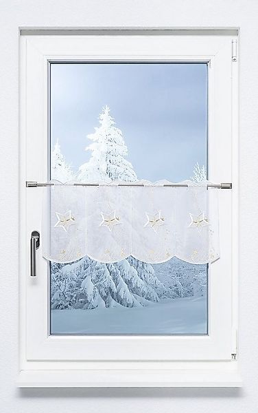 Plauener Spitze® Scheibengardine Schweifstern (1 St), transparent, HxB 29x4 günstig online kaufen