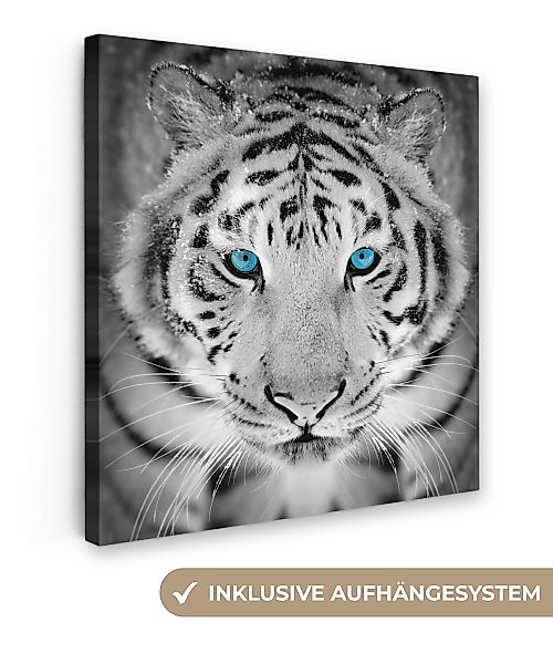 OneMillionCanvasses® Leinwandbild Tiere - Tiger - günstig online kaufen