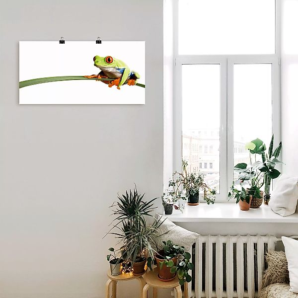 Artland Wandbild "Frosch auf einem Blatt", Wassertiere, (1 St.), als Alubil günstig online kaufen