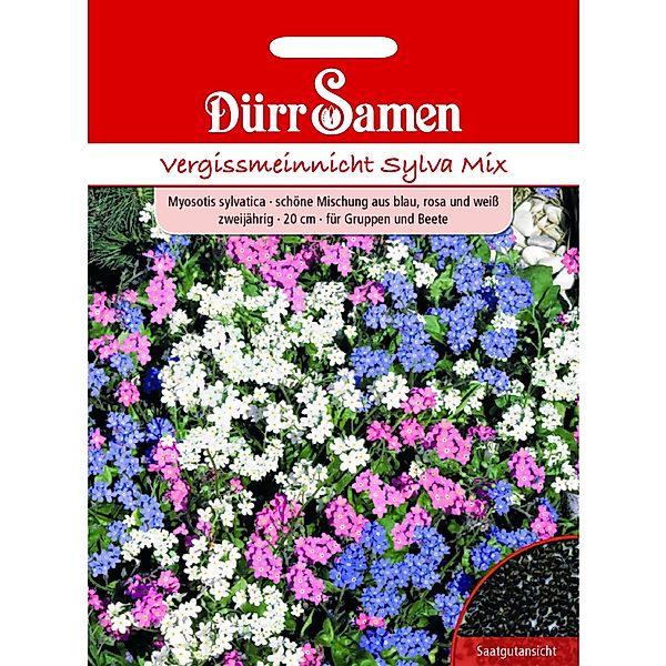 Dürr Samen Vergissmeinnicht Sylva Mix Gelb Mit Auge Zweijährig Saatgut günstig online kaufen