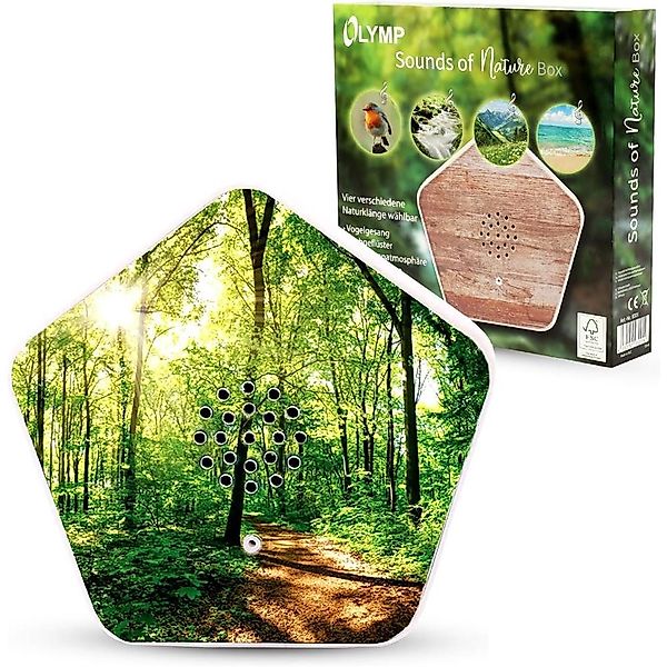 Olympia Wanddekoobjekt Sounds of Nature Vogelgesang günstig online kaufen