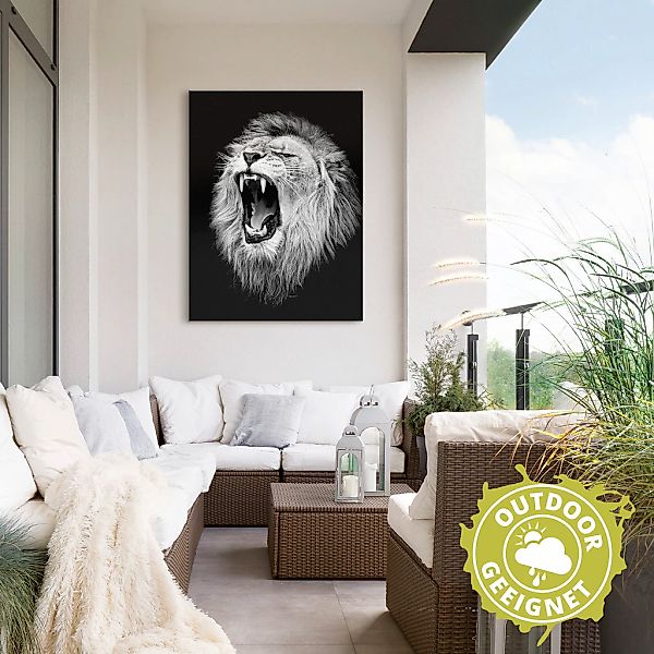 Artland Wandbild "Der Löwe", Wildtiere, (1 St.), als Alubild, Outdoorbild, günstig online kaufen