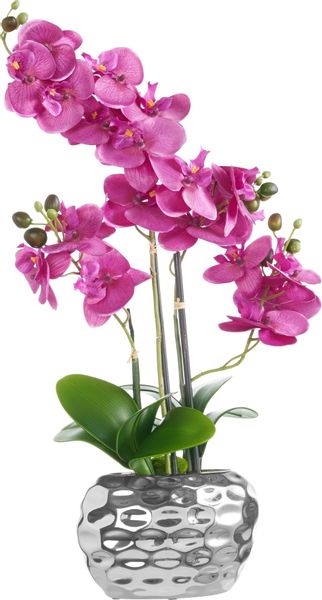 Kunstpflanze Orchidee Orchidee, Creativ green, Höhe günstig online kaufen