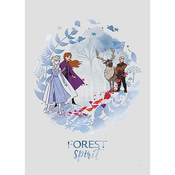 Disney Poster Die Eiskönigin Blau 50 x 70 cm 610145 günstig online kaufen
