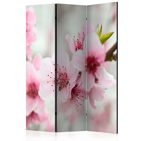 3-teiliges Paravent - Spring, Blooming Tree - Pink Flowers [room Dividers] günstig online kaufen