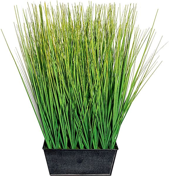 Kunstgras Gras Gras, Creativ green, Höhe günstig online kaufen
