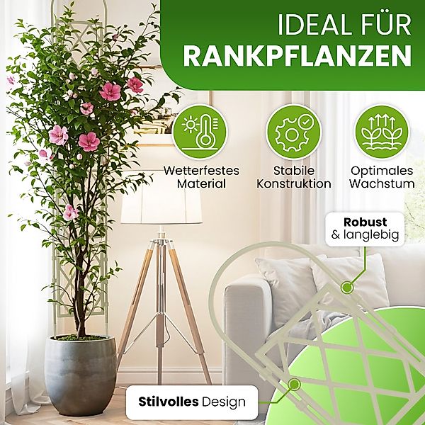 Gartenwelt Riegelsberger Rankhilfe Wandspalier mit Bogen günstig online kaufen