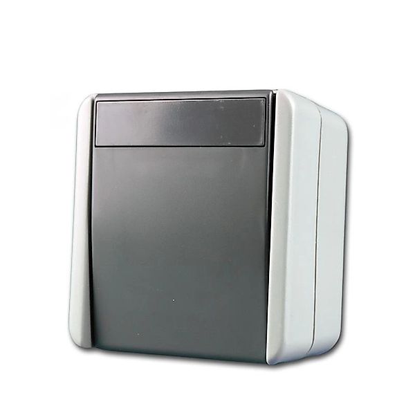 TEM Fontana Wechselschalter Grau 250V10A AP IP44 günstig online kaufen