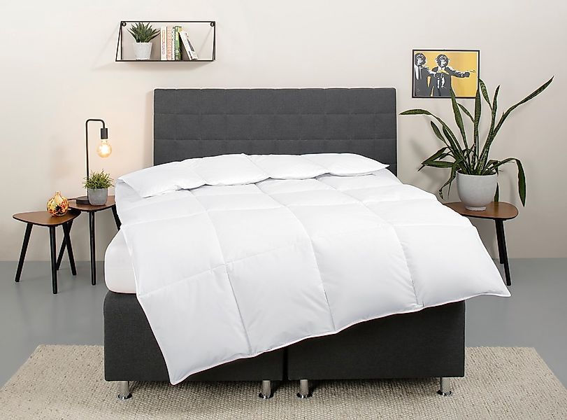 my home Daunenbettdecke "Cyra, Bettdecke 135x200 cm, 155x220 cm" extrawarm günstig online kaufen