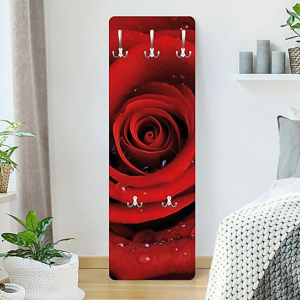 Wandgarderobe Holzpaneel Rote Rose mit Wassertropfen günstig online kaufen