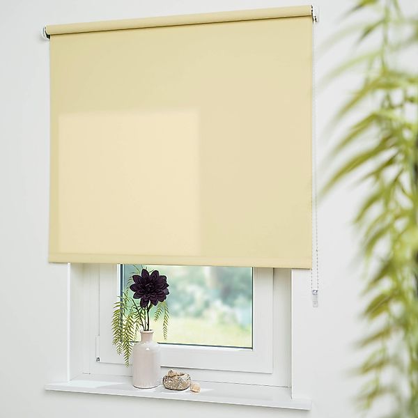 Seitenzugrollo Uni, Liedeco, Lichtschutz, mit Bohren, günstig online kaufen