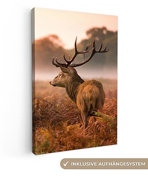 OneMillionCanvasses® Leinwandbild Hirsche - Nebel - günstig online kaufen