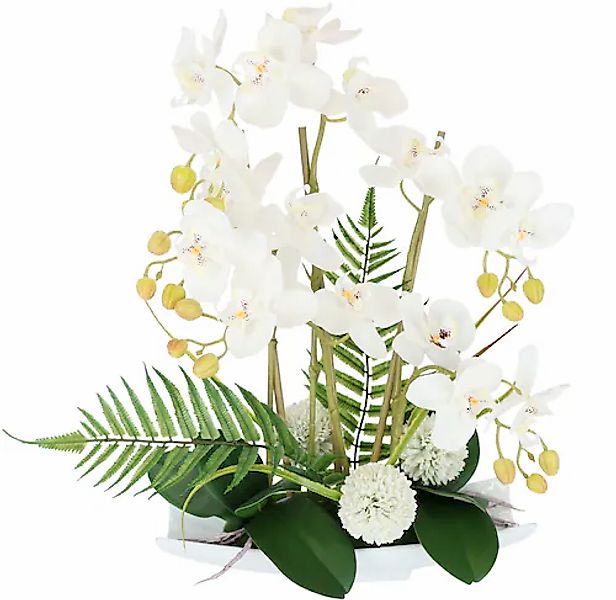 I.GE.A. Kunstblume »Orchideen« günstig online kaufen