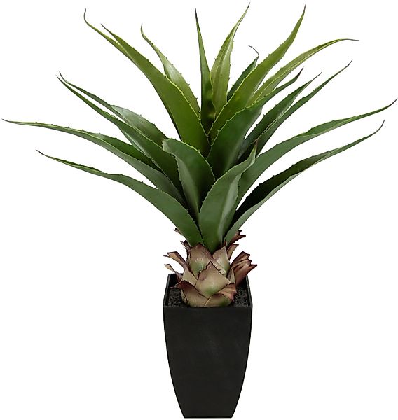 Kunstpflanze Agave im Topf Agave, I.GE.A., günstig online kaufen