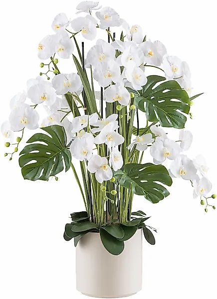 Creativ green Kunstorchidee »Orchidee Phalaenopsis«, mit Gräsern und Splitp günstig online kaufen