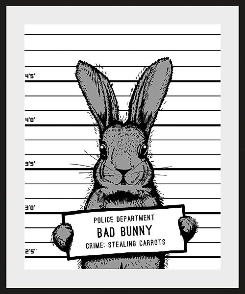 queence Bild »Akani«, Hase-Hasen-Haustiere-Schwarz-Weiß-Humor, (1 St.), HD günstig online kaufen