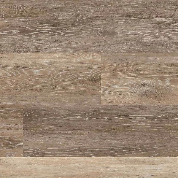Project Floors Klebe-Vinylboden Home/30 PW 1260/30 günstig online kaufen