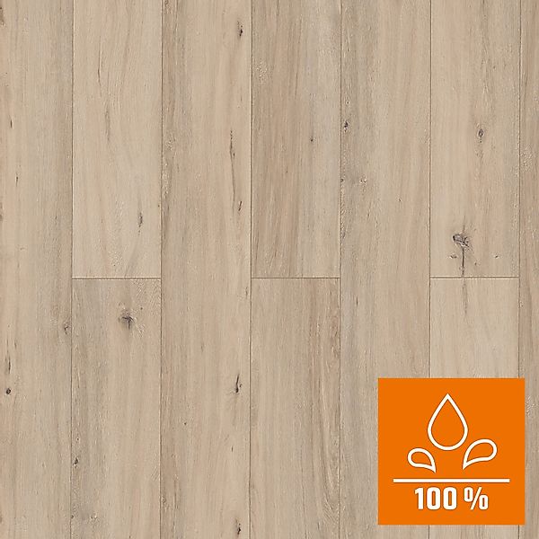 Classen Grande XXL Laminat 8 mm Wasserfest Eiche Bellevue Graubraun günstig online kaufen