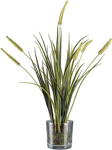Kunstgras Grasbusch Miscanthus im Erdballen mit günstig online kaufen