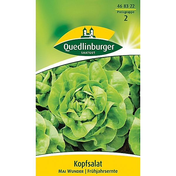 Quedlinburger Kopf Salat ''Mai Wunder'' günstig online kaufen