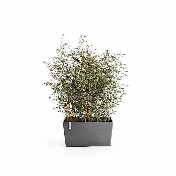 ECOPOTS Blumentopf "Paris", BxTxH: 99x46x50 cm günstig online kaufen