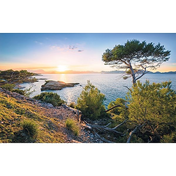 Komar Vliestapete »Digitaldruck Vlies - Southern Light - Größe 400 x 250 cm günstig online kaufen