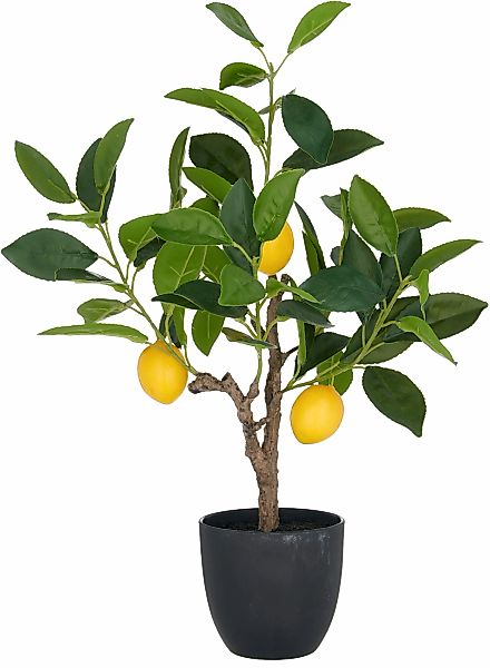 Creativ green Kunstbaum "Zitrone", mit detailgetreuer Gestaltung günstig online kaufen