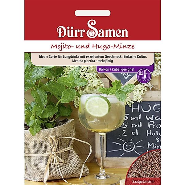 Dürr Samen Mojito- Und Hugo-Minze Saatgut günstig online kaufen