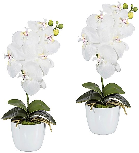 Kunstpflanze Orchidee Phalaenopsis Orchidee, Creativ green, günstig online kaufen