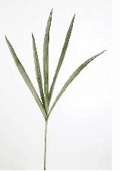 Flower & Style Kunstpflanzen & -blumen Sanseveria grün 95 cm (189051) (grün günstig online kaufen