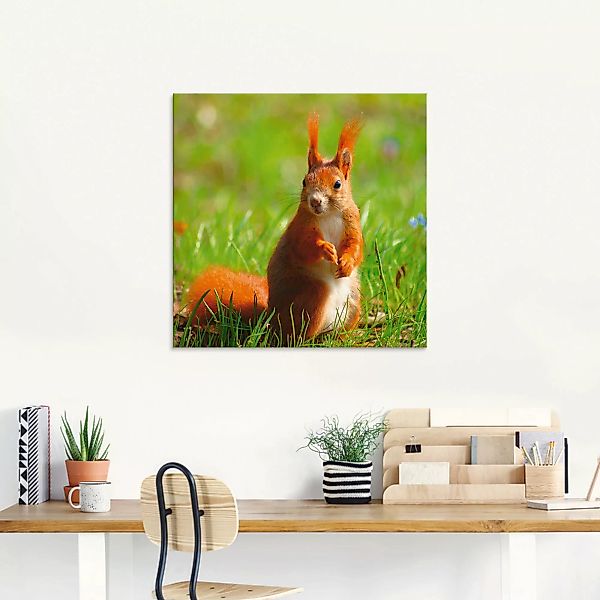 Artland Glasbild "Eichhörnchen Kontakt", Wildtiere, (1 St.) günstig online kaufen