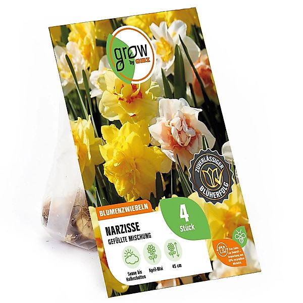 GROW by OBI Narzissen Gefüllte Mischung 4 Stück Narcissus double Mixed günstig online kaufen