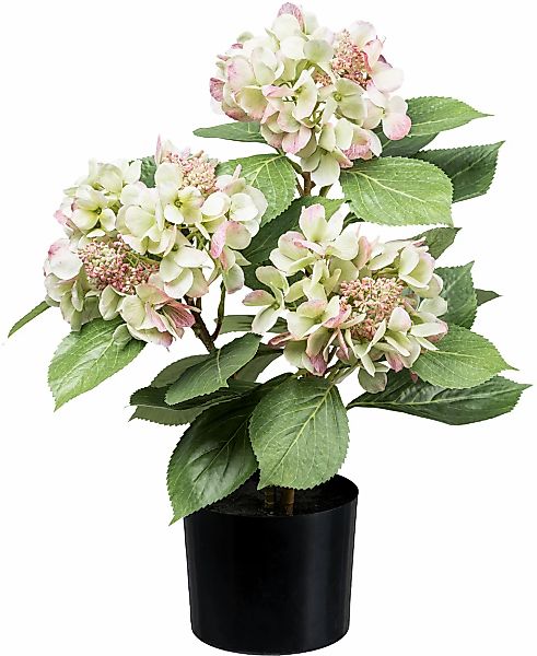 Kunstpflanze Hortensienbusch Hortensie, Creativ green, Höhe günstig online kaufen