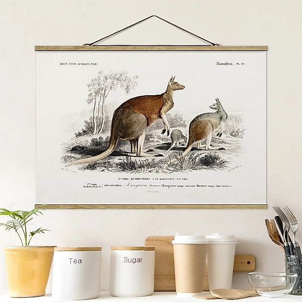 Stoffbild Tiere mit Posterleisten - Querformat Vintage Lehrtafel Känguruh günstig online kaufen