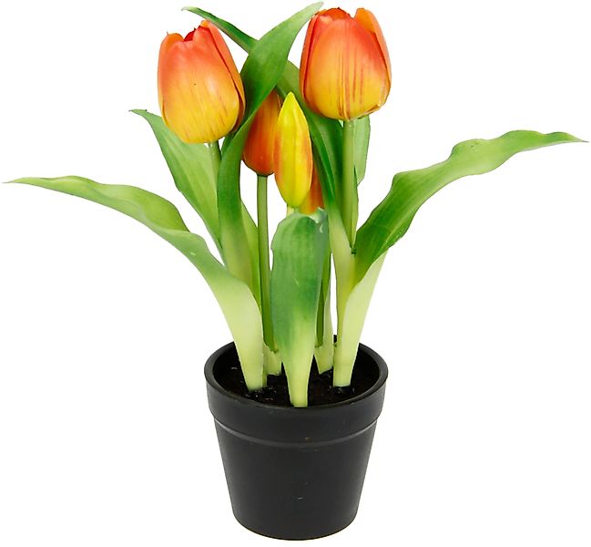 Kunstblume Tulpen, I.GE.A., Höhe 22 cm günstig online kaufen