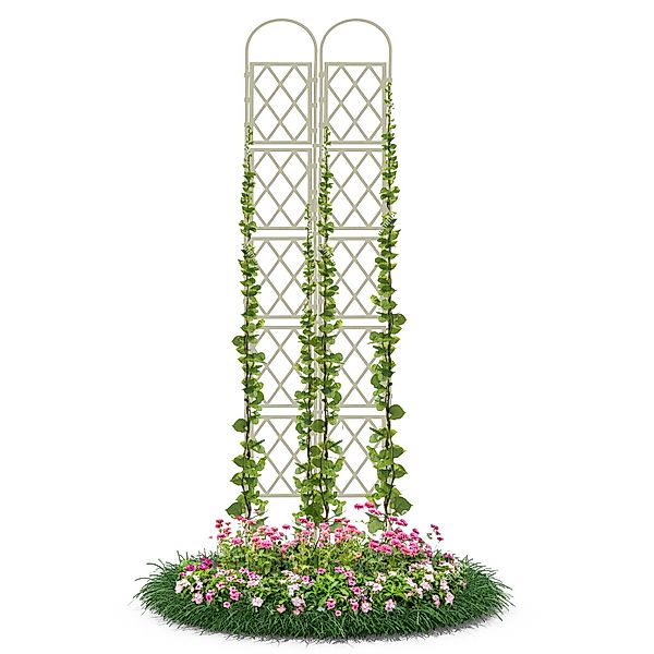 Gartenwelt Riegelsberger Rankhilfe Wandspalier mit Bogen günstig online kaufen