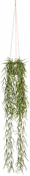 Creativ green Kunstranke "Tillandsia aeranthos im Hängetopf", im Hängetopf günstig online kaufen