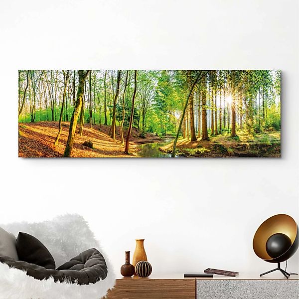 Reinders Wandbild "Sonniger Wald" günstig online kaufen