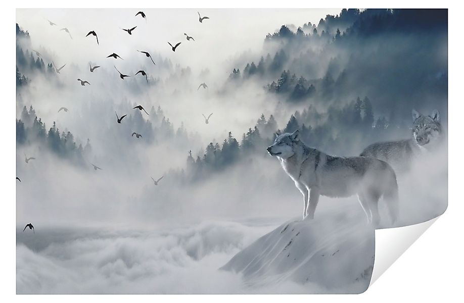 Wallarena Fototapete Wald im Nebel Natur günstig online kaufen