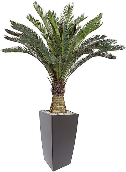 Kunstpalme Cycaspalme Palme, Creativ green, Höhe günstig online kaufen
