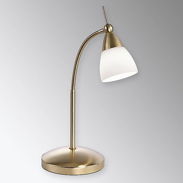 Paul Neuhaus Tischleuchte Pino, messing, 45 cm, dimmbar, G9 günstig online kaufen