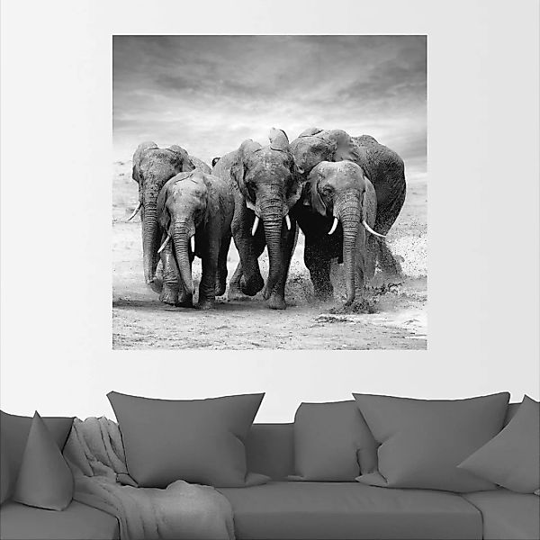 Artland Wandbild "Elefanten", Wildtiere, (1 St.), als Leinwandbild, Poster, günstig online kaufen