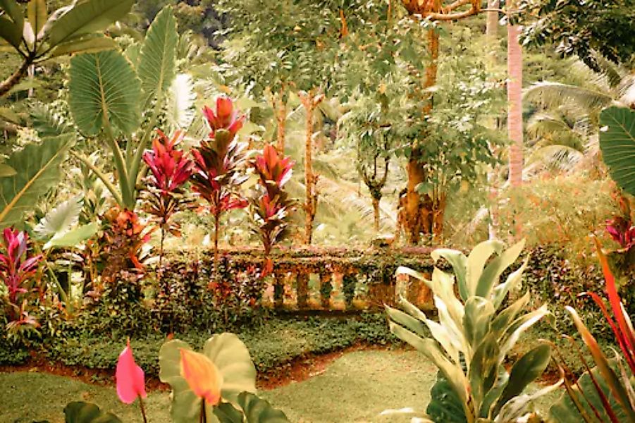 Papermoon Fototapete »Fantasie tropischer Garten« günstig online kaufen